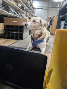 Forest Gets His Laptop!
